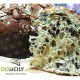 Panettone al pistacchio con farcitura interna da 750g